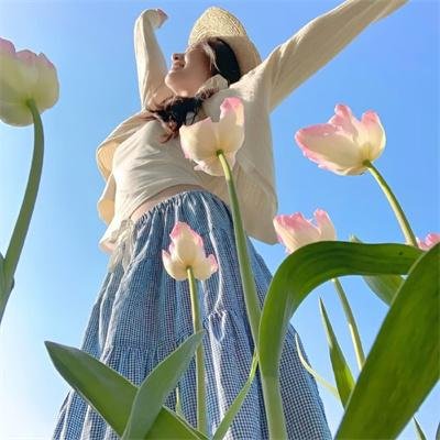 法律至上1