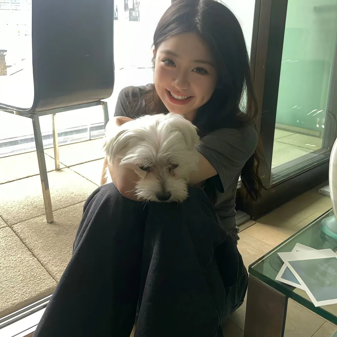 追婚记